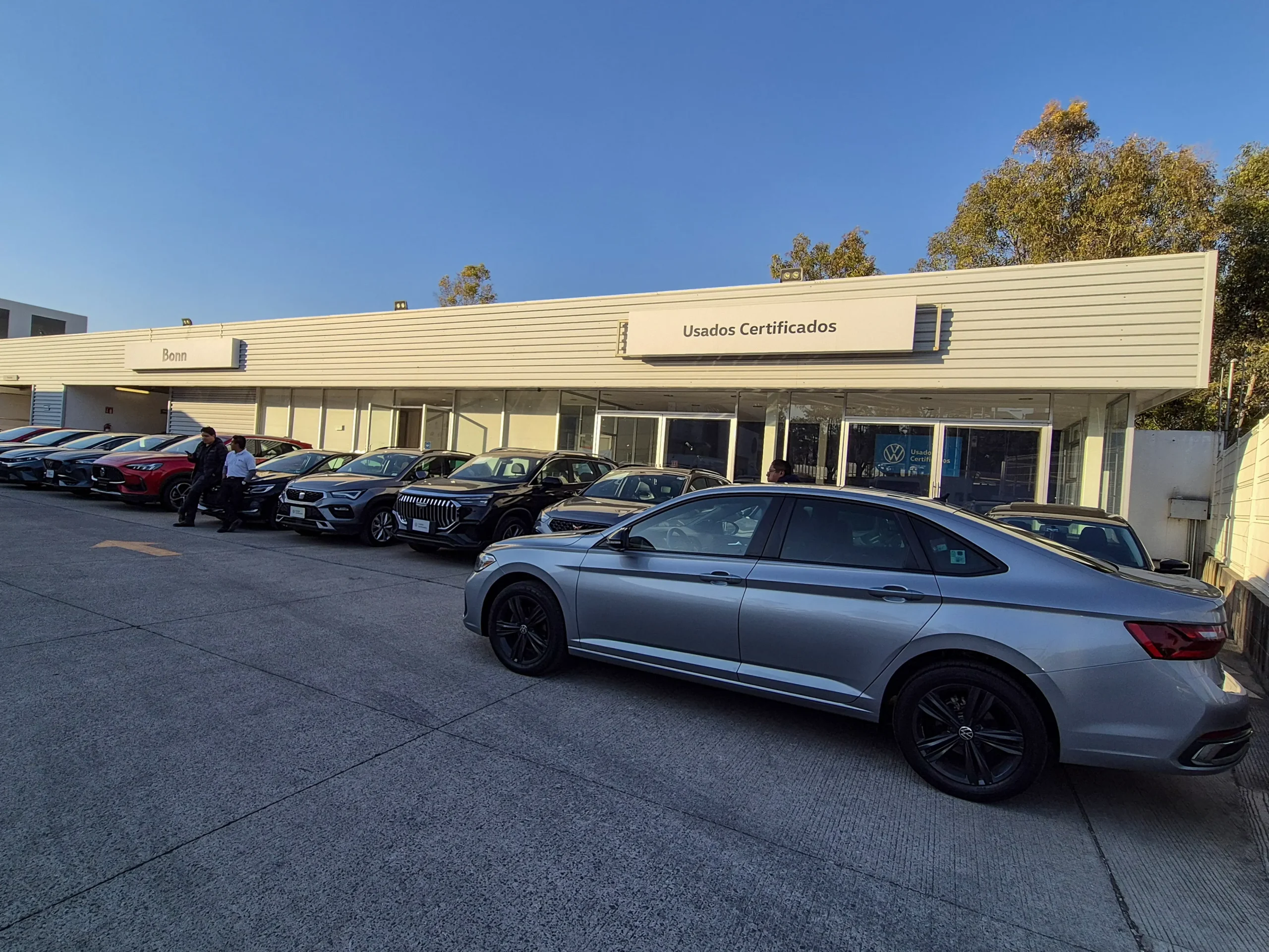 portada_usados_animas