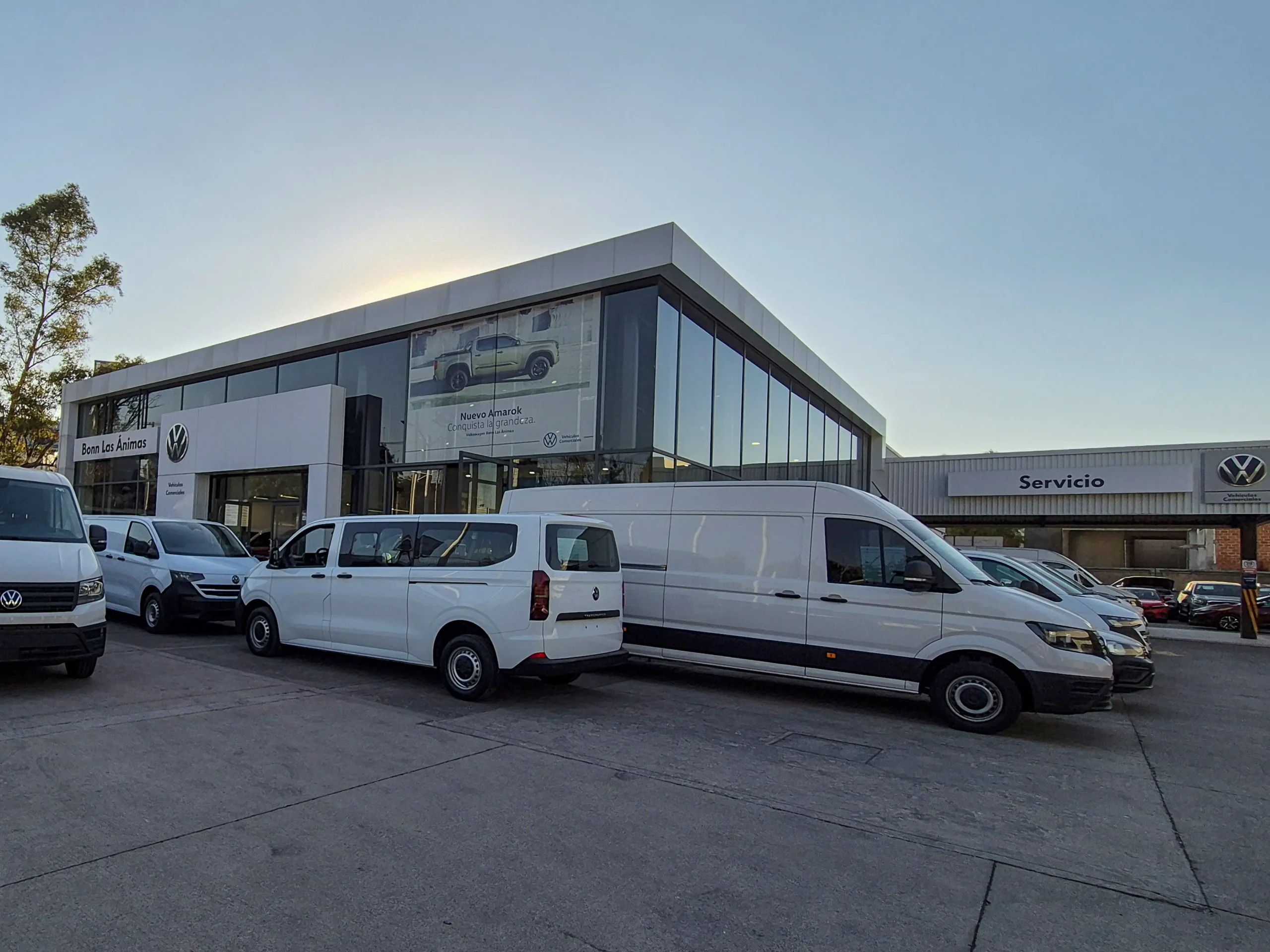 portada_vw_las_animas